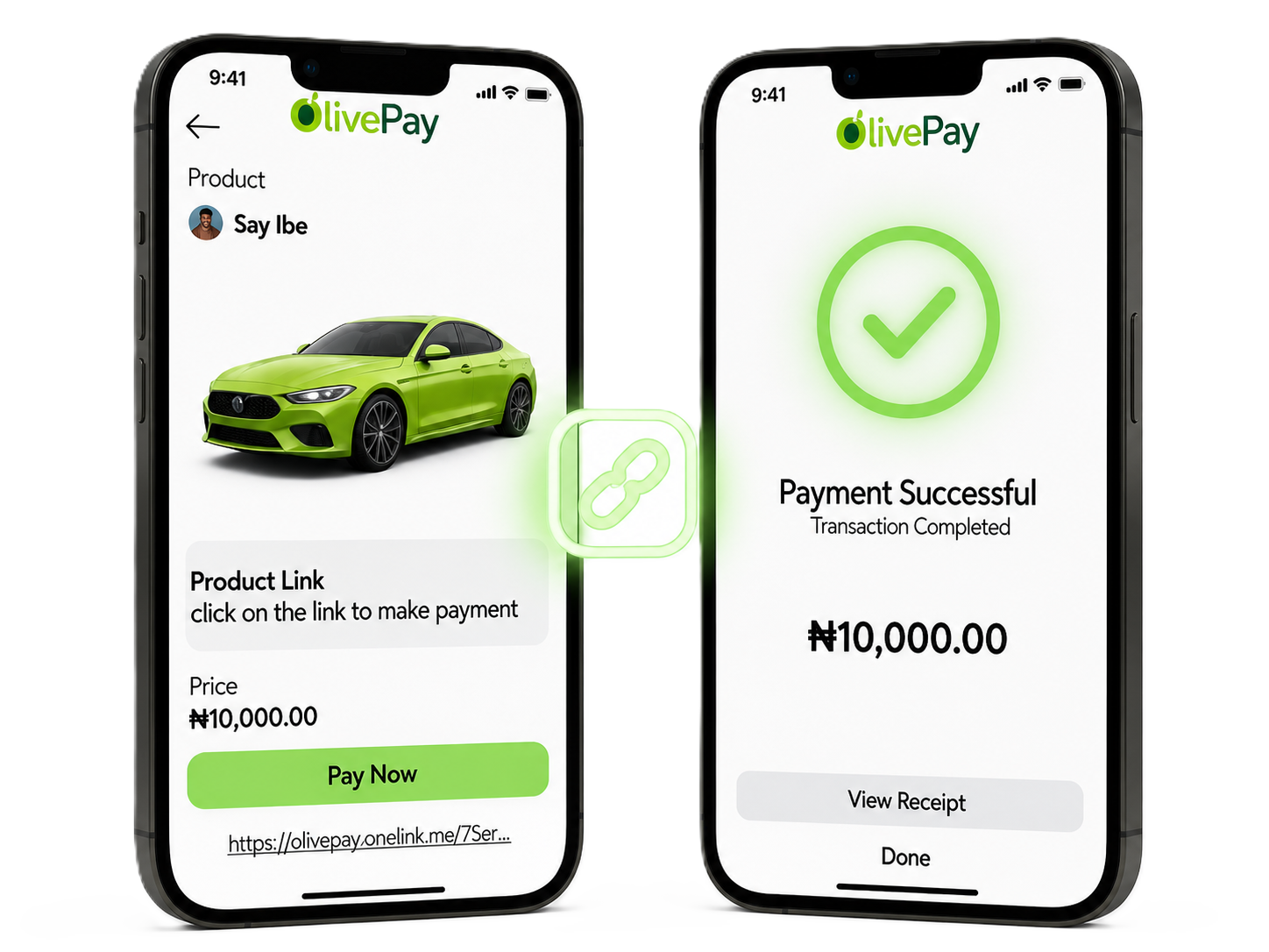 Payment Link Interface